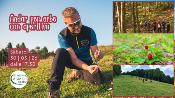 S19 Andar per erbe con aperitivo