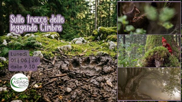 S21 Sulle tracce delle leggende cimbre