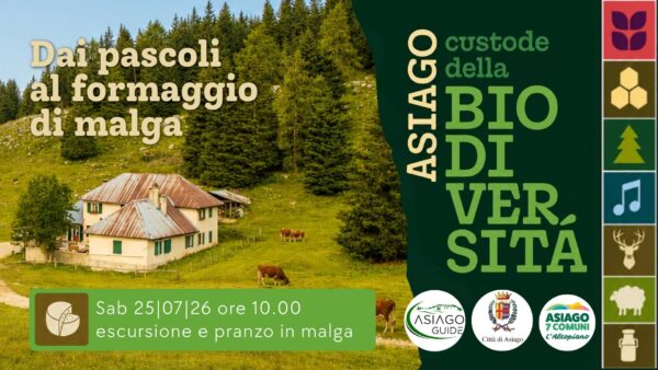 A05 Dai pascoli al formaggio di Malga