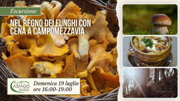E04 Nel regno dei Funghi con cena a Campomezzavia
