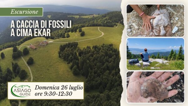 E07 A caccia di fossili a cima Ekar