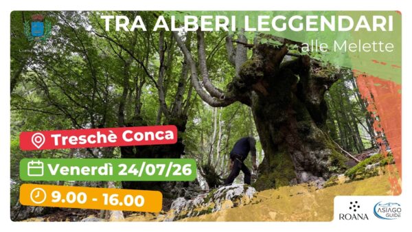 R15 Alle Melette tra panorami e alberi leggendari
