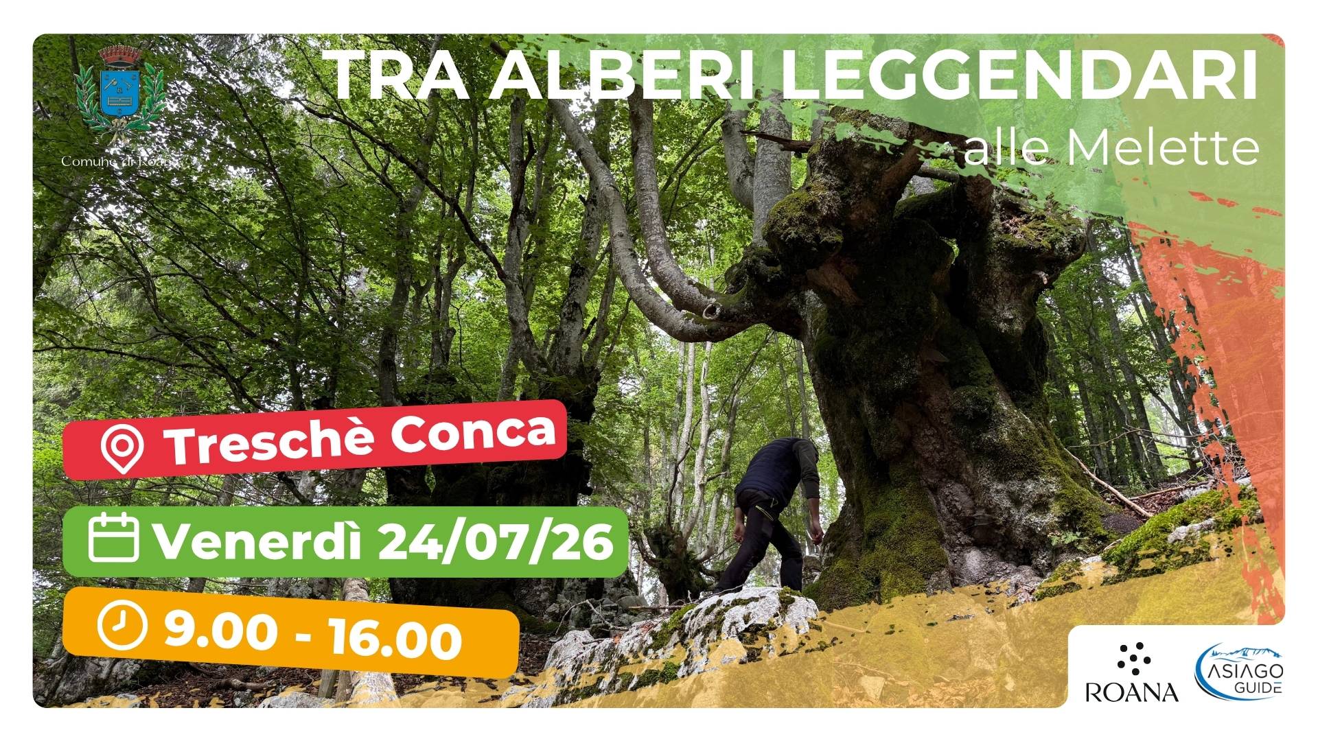 R15 Alle Melette tra panorami e alberi leggendari