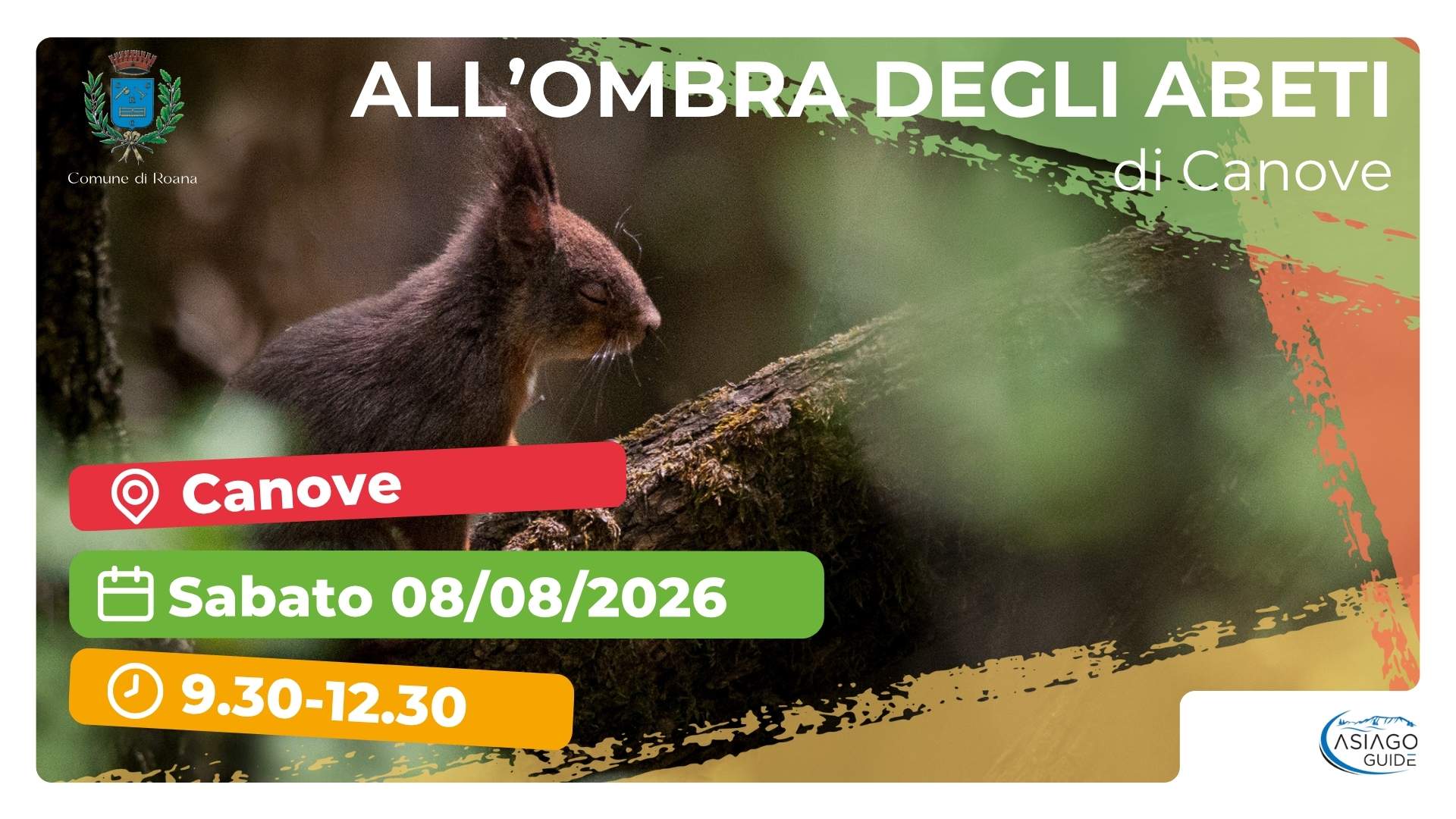 R31 All’ombra dei grandi abeti