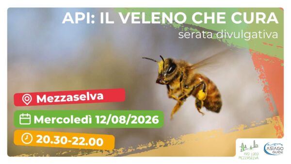 R37 Api: il veleno che cura