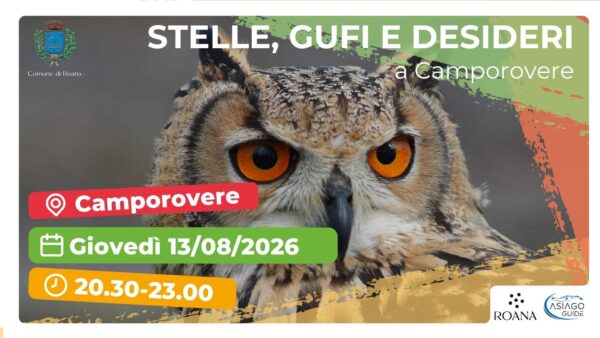 R39 Tra stelle, gufi e desideri…