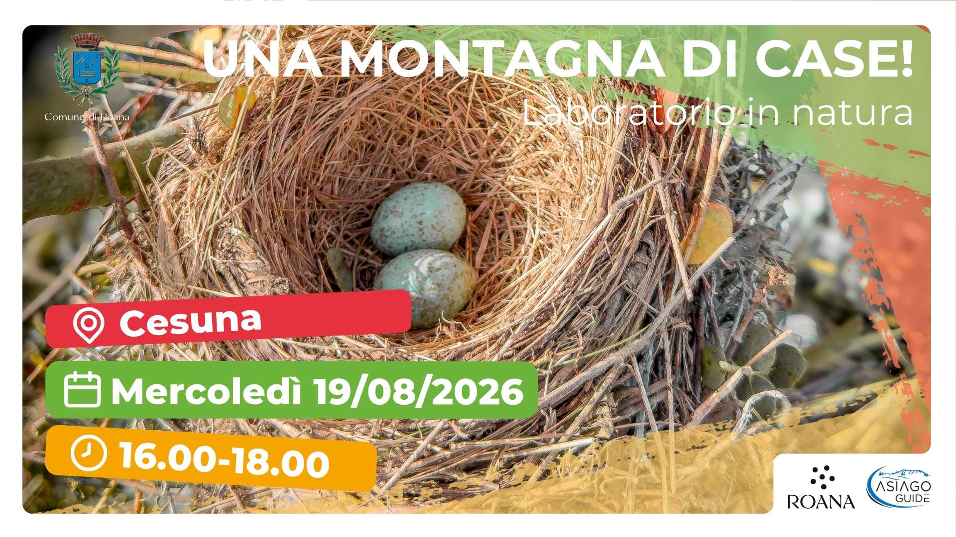 R44 Una montagna di case!