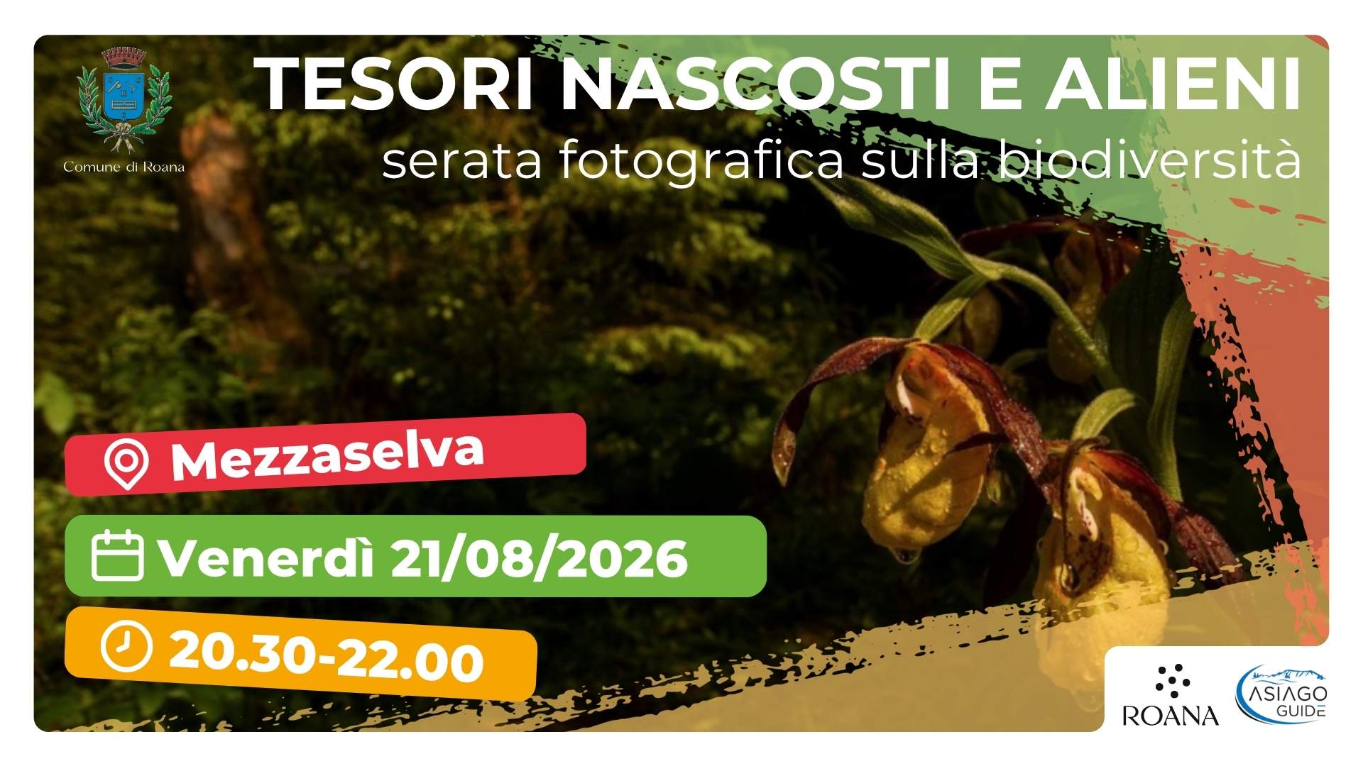 R47 Tra tesori nascosti e alieni