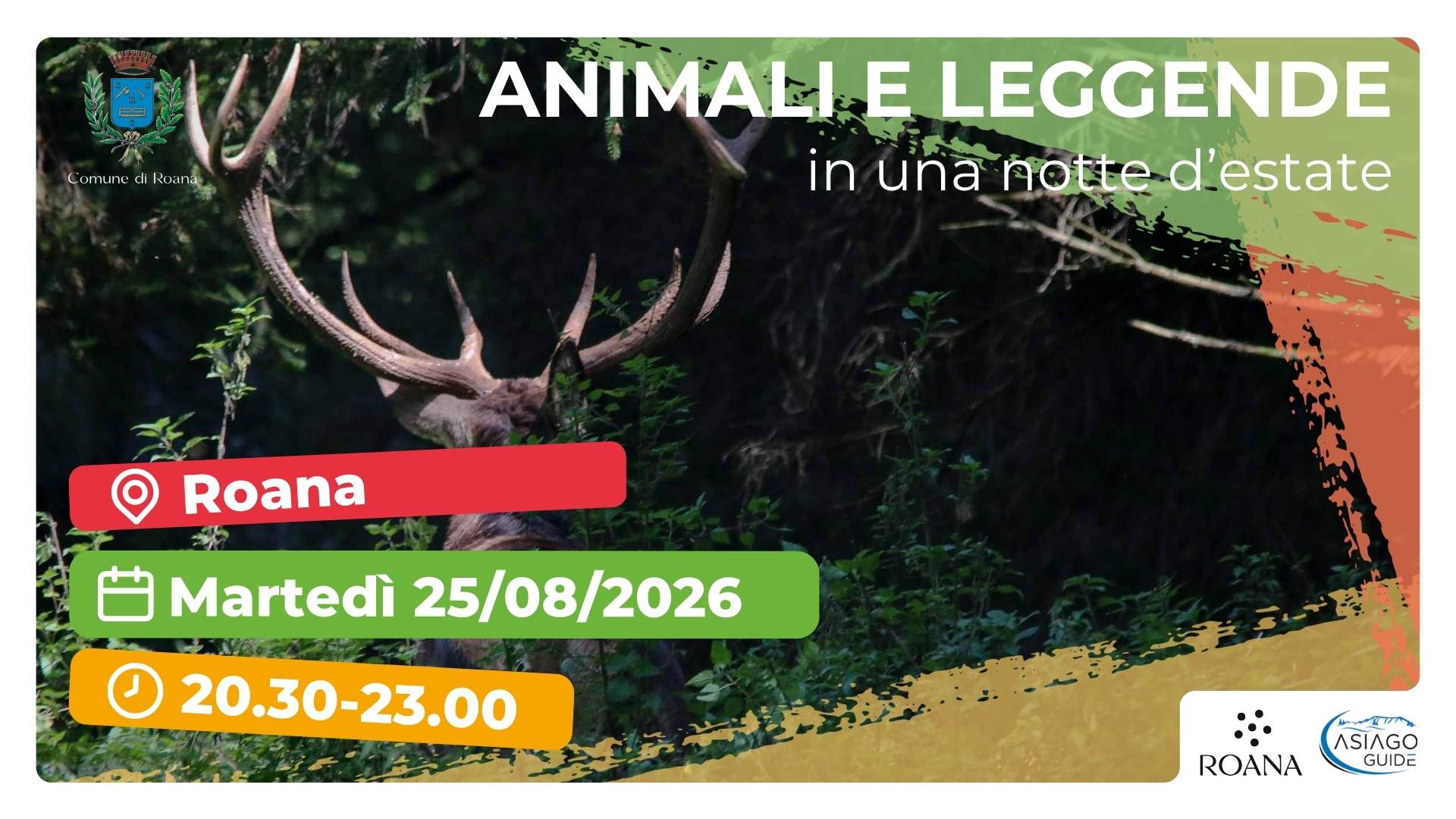 R50 Animali e leggende in una notte d'estate