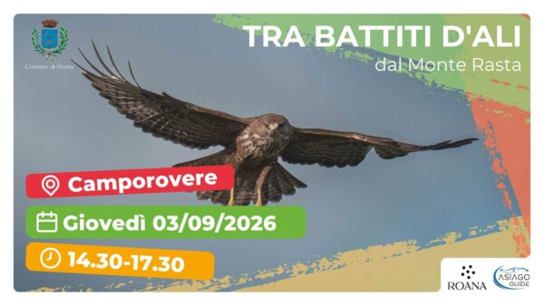 R60 Tra battiti d'ali dal Monte Rasta
