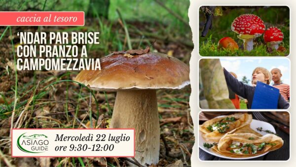 E05 ‘ndar par brise con pranzo a Campomezzavia
