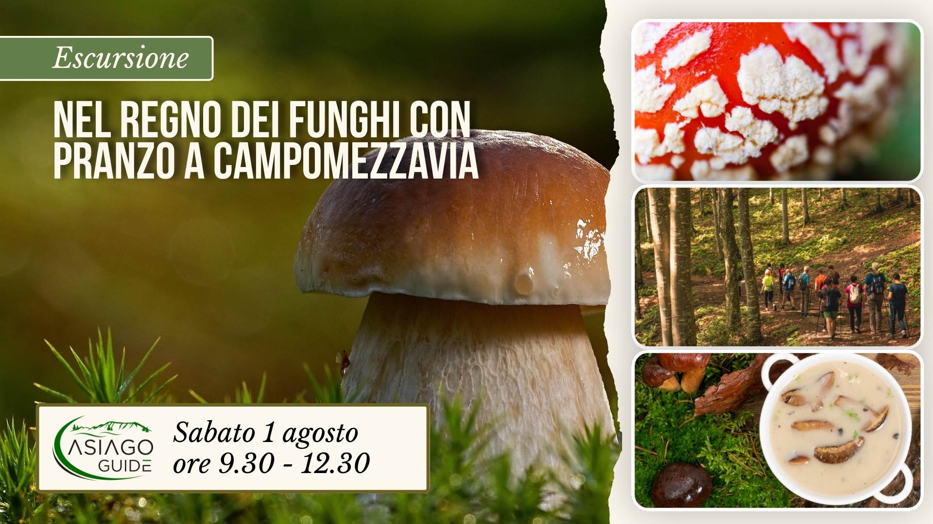 E08 Nel regno dei Funghi con pranzo a Campomezzavia