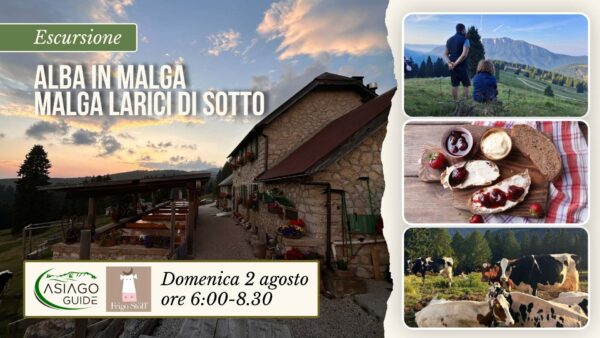 E10 Alba in Malga: passeggiata e colazione a Malga Larici di Sotto