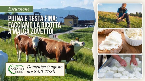 E14 Pujna e testa fina: facciamo la ricotta a Malga Zovetto!