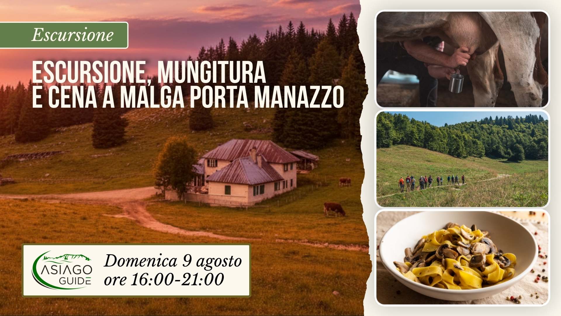 E15 Escursione, Mungitura e cena a Malga Porta Manazzo