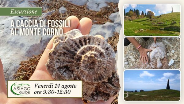 E19 A caccia di fossili al Monte Corno