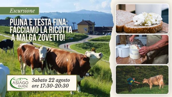 E24 Pujna e testa fina: facciamo la ricotta a Malga Zovetto!
