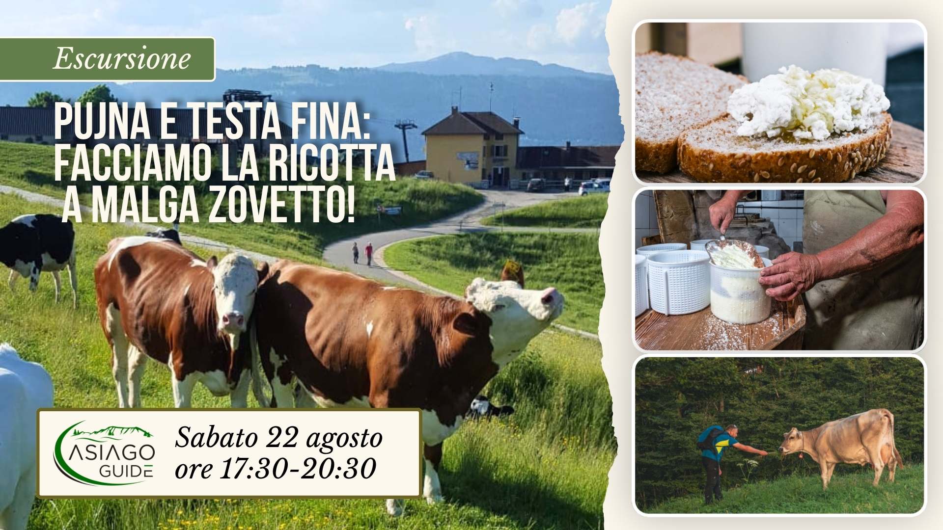 E24 Pujna e testa fina: facciamo la ricotta a Malga Zovetto!