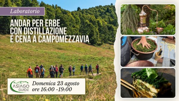E27 Andar per erbe con distillazione e con cena a Campomezzavia