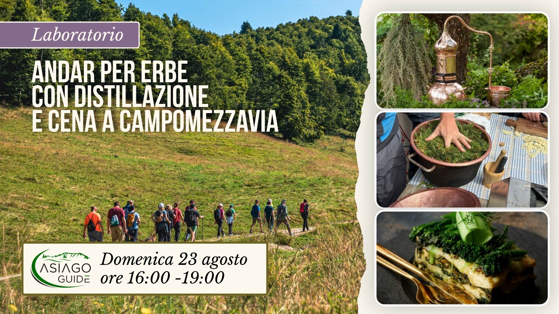 E27 Andar per erbe con distillazione e con cena a Campomezzavia
