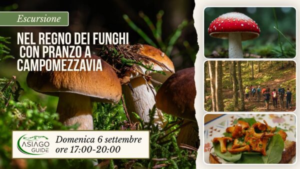 E31 Nel regno dei Funghi con pranzo a Campomezzavia