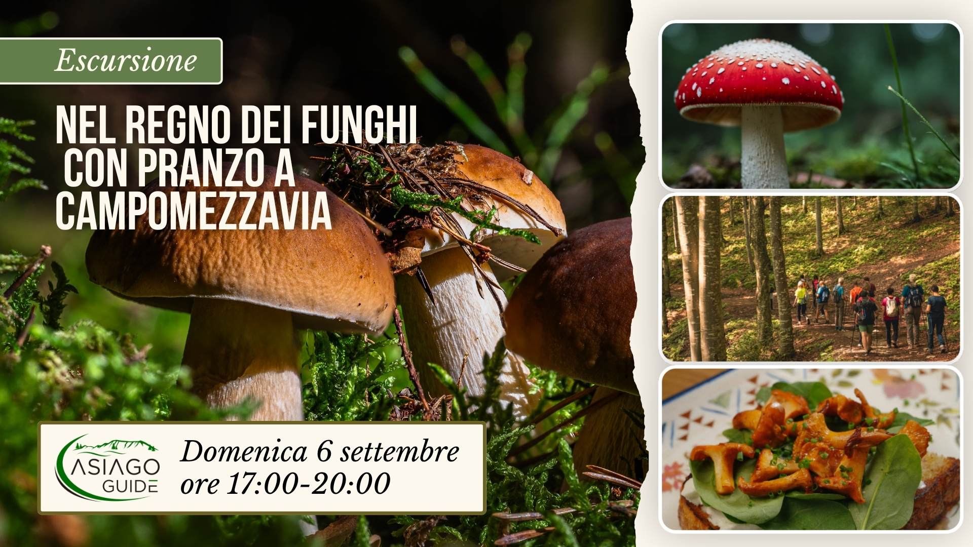 E31 Nel regno dei Funghi con pranzo a Campomezzavia