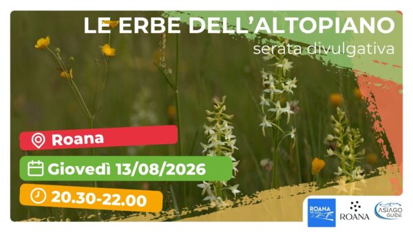 R40 Una panoramica sulle erbe dell'Altopiano