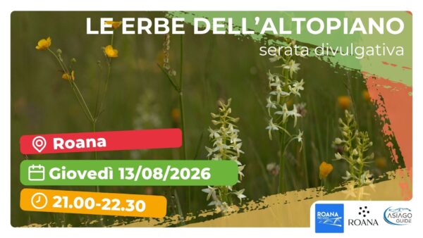 R40 Una panoramica sulle erbe dell'Altopiano