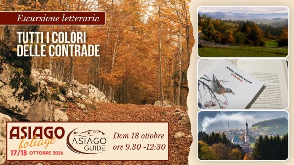 F02 TUTTI I COLORI DELLE CONTRADE