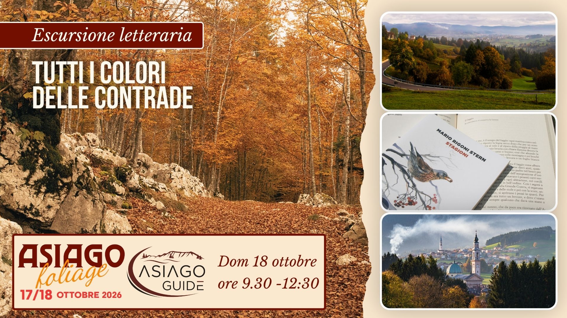 F02 TUTTI I COLORI DELLE CONTRADE