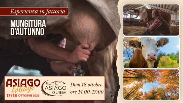 F03 Mungitura d’autunno