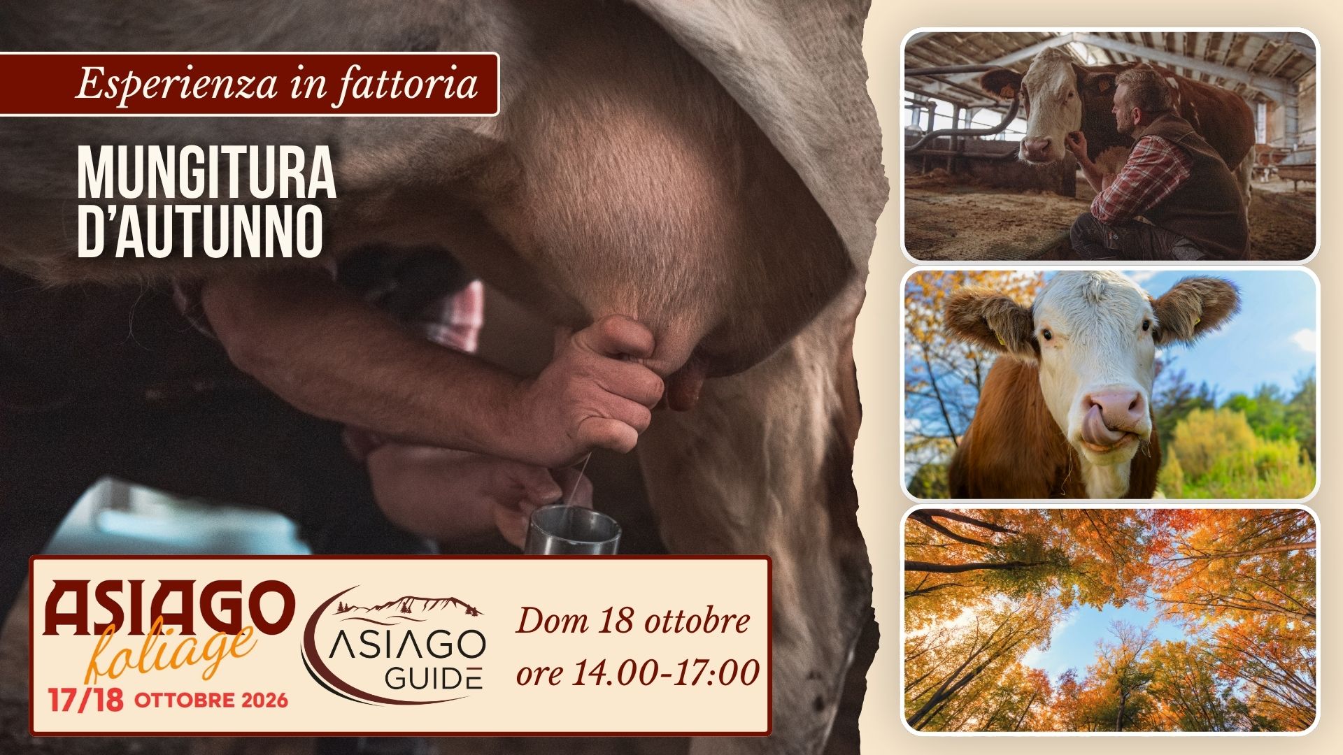 F03 Mungitura d’autunno