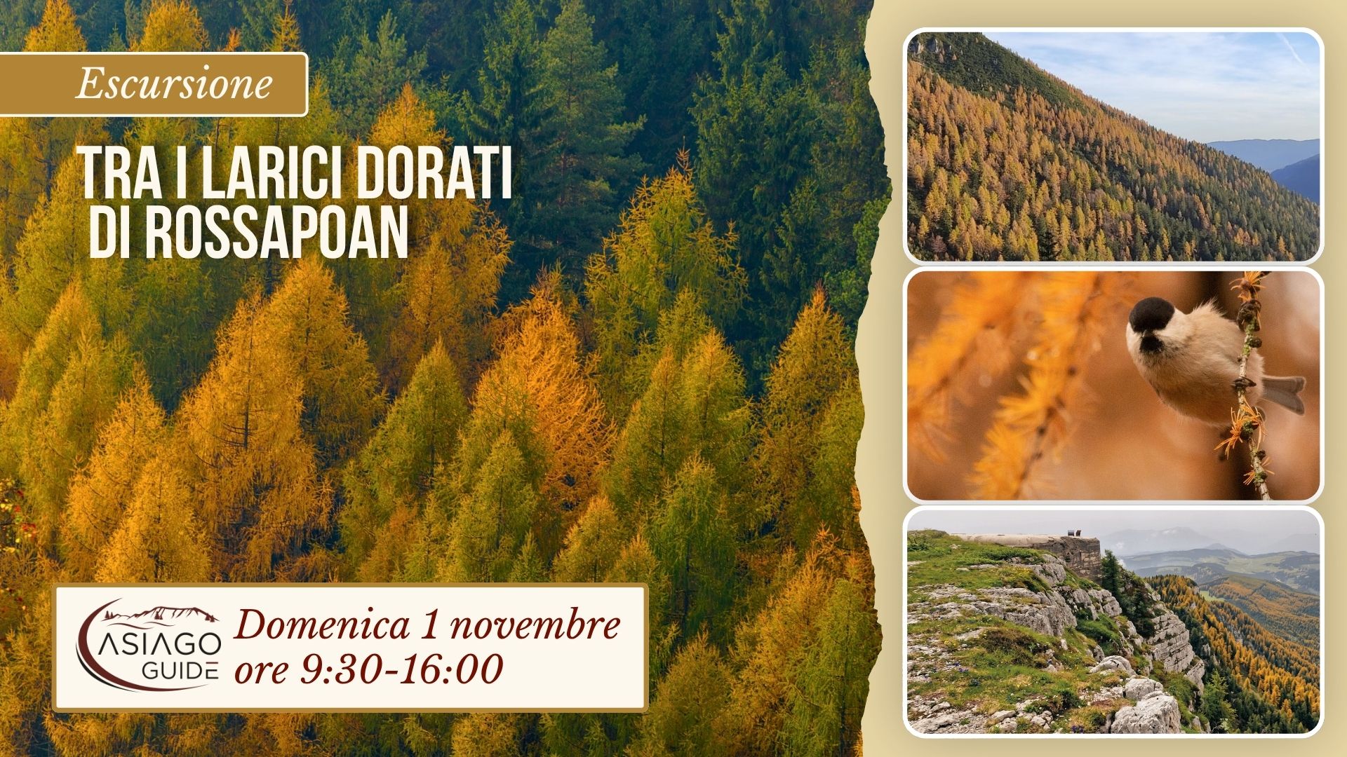 O02 Tra i larici dorati di Rossapoan