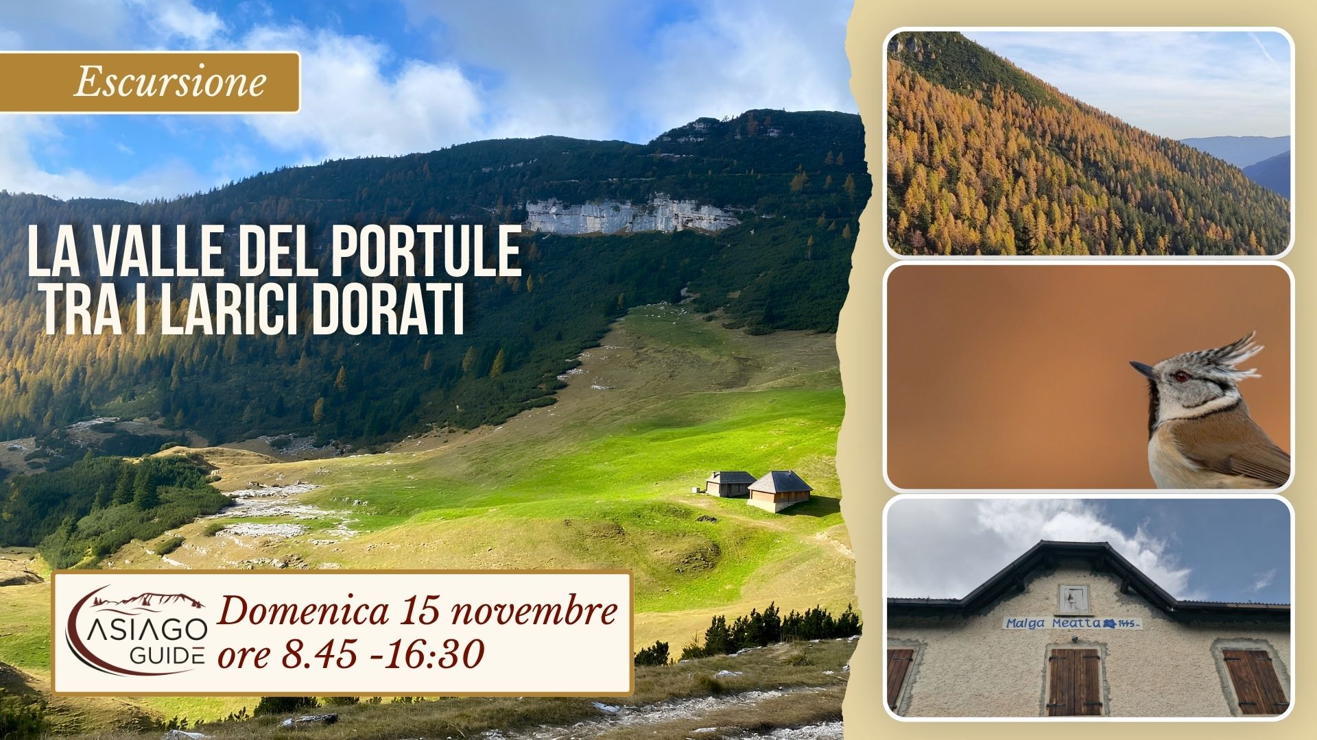 O03 La Valle del Portule - sentieri selvatici